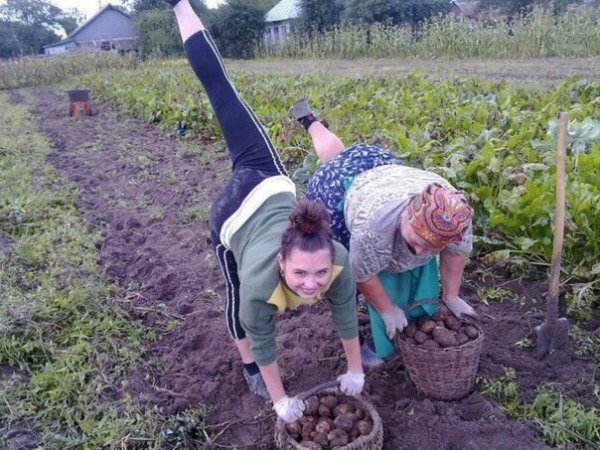 Дача огород прикольные