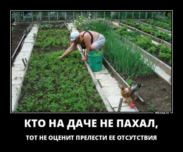 Пахать на даче