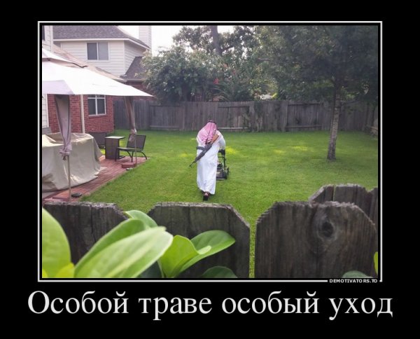 Косить траву юмор