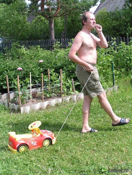 Смешные дачники