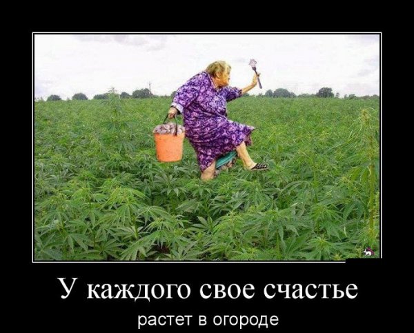 Хорошо в деревне летом приколы