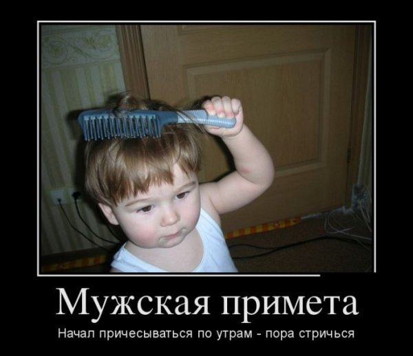 Приколы про парикмахеров