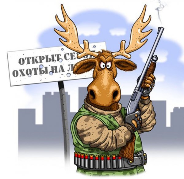 Лось прикол