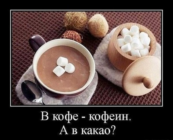 Утренние демотиваторы