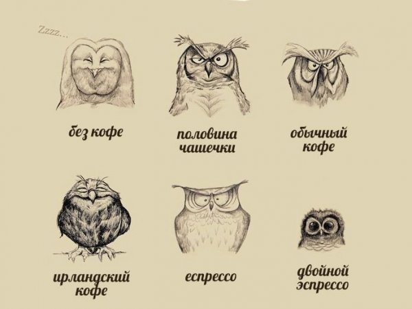Смешные цитаты про кофе
