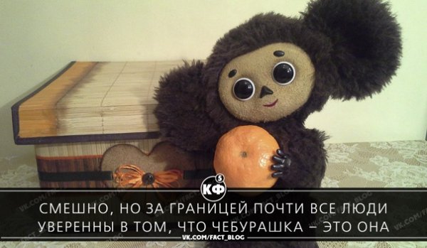 Чебурашка прикольные