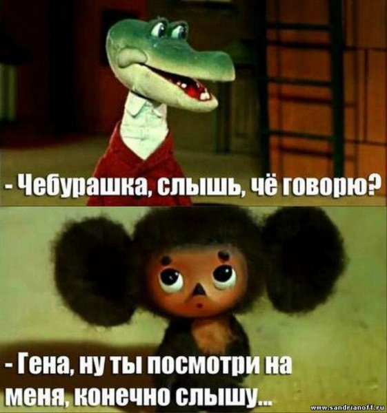 Чебурашка приколы