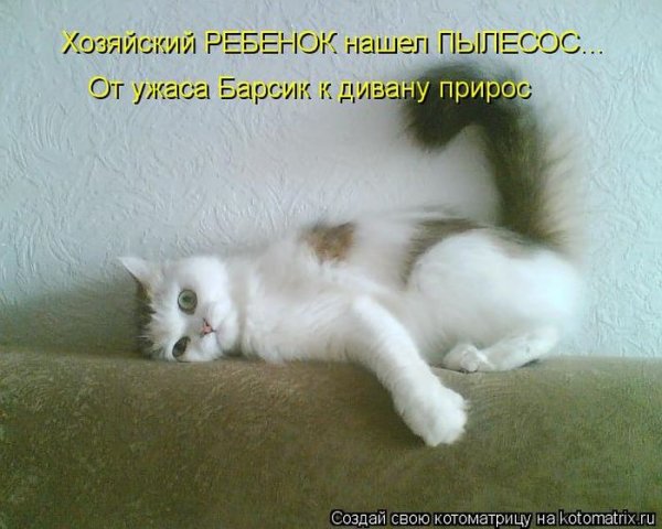 Обида прикол