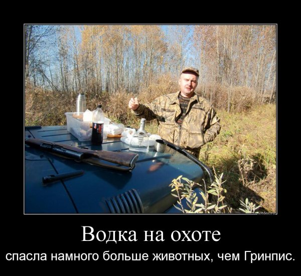 Анекдоты про охоту смешные