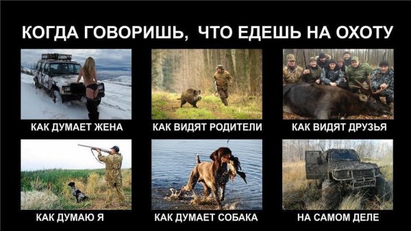 Приколы на охоте