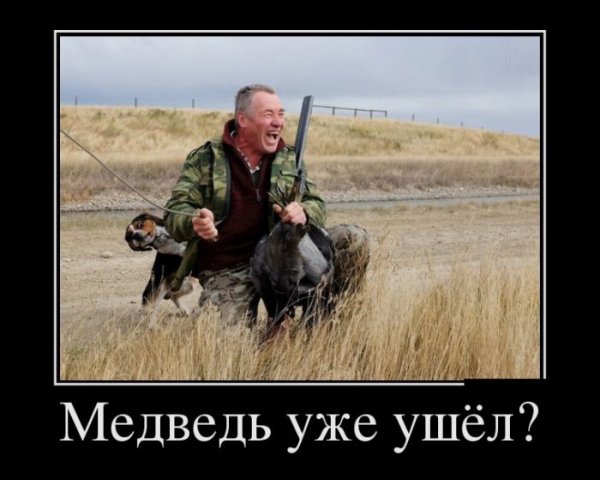 Собака на охоте прикол