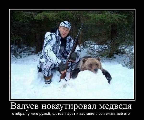 Демотиваторы про охоту смешные