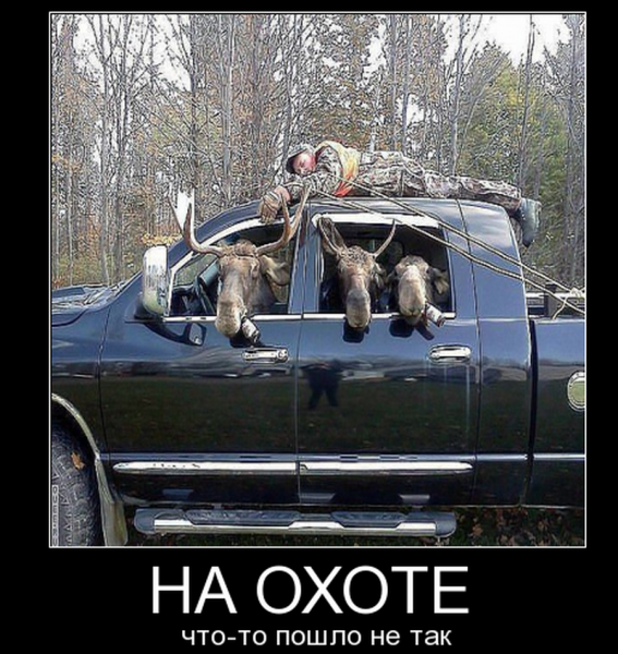 Шутки про охоту