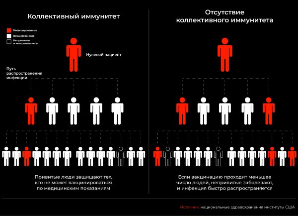 Коллективный иммунитет