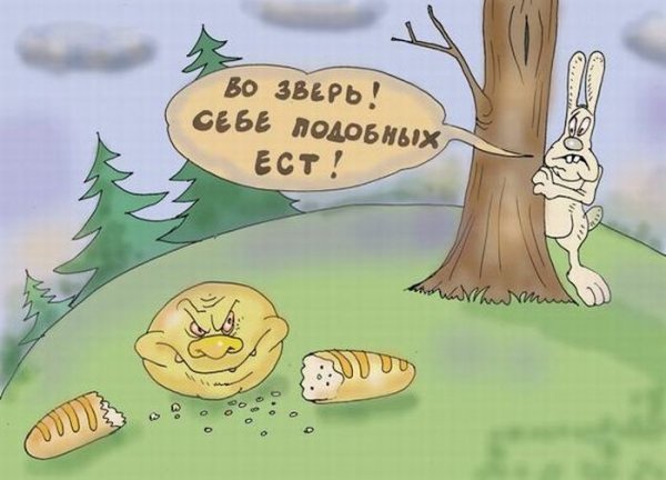 Шутки про колобка