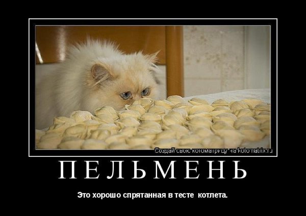 Пельмени юмор
