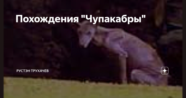 Чупакабра козий вампир