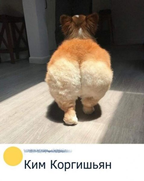 Ужасные лосины