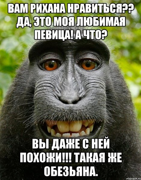 Нюхни бэбру