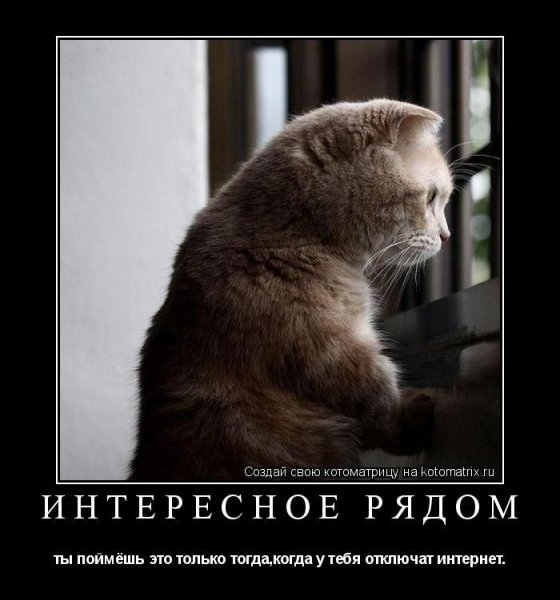 Это одиночество