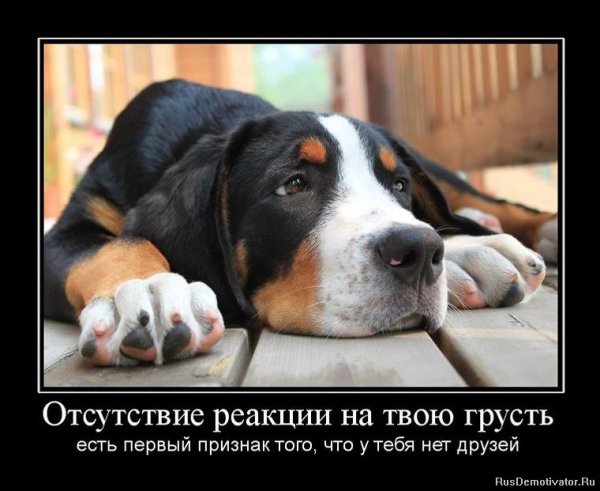 Демотиваторы грустные