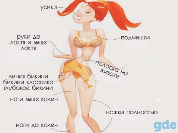 Смешные картинки шугаринг (53 фото)