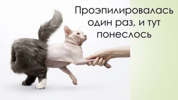 Смешные приколы про депиляцию