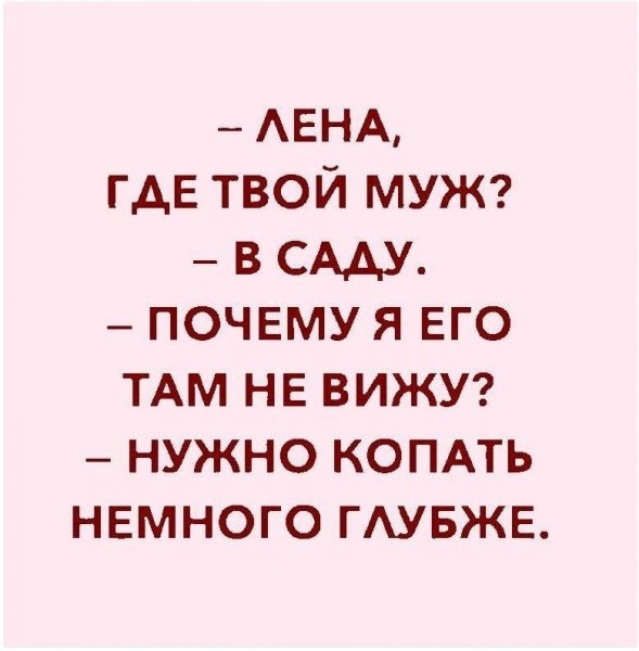 Анекдоты про Лену