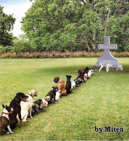 Демотиваторы про очередь