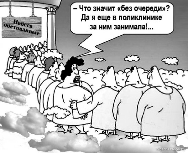 Очередь карикатура