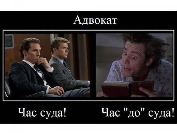 Приколы про юристов