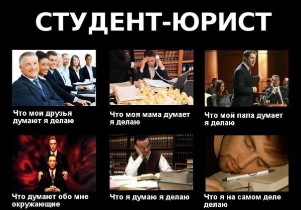 Цитаты про адвокатов