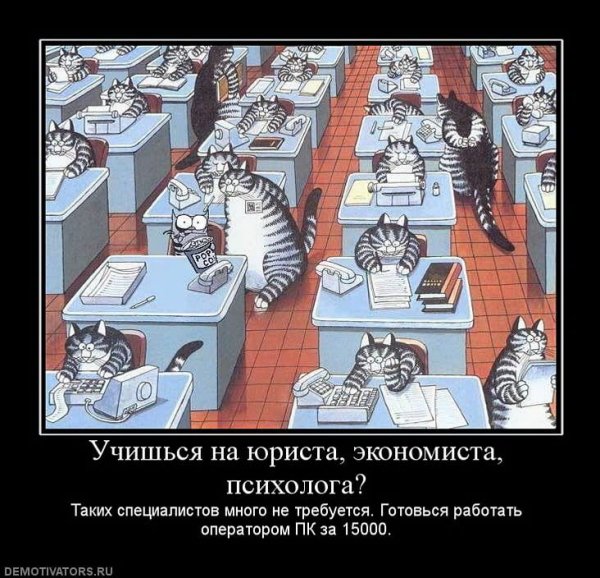 Высказывания про юристов прикольные