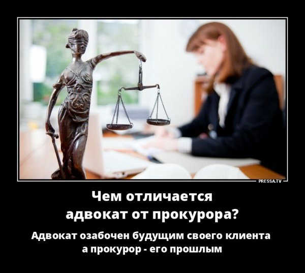 Анекдоты про юристов