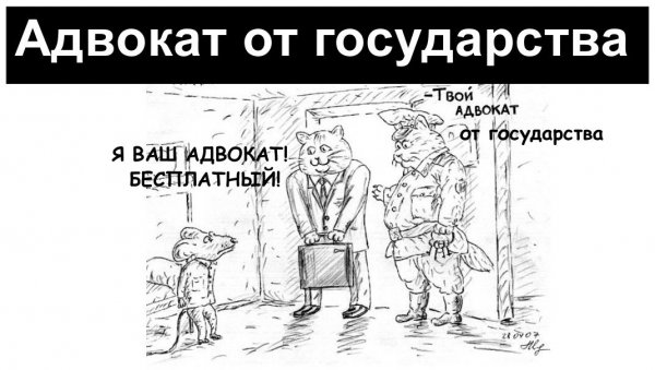 Смешной адвокат