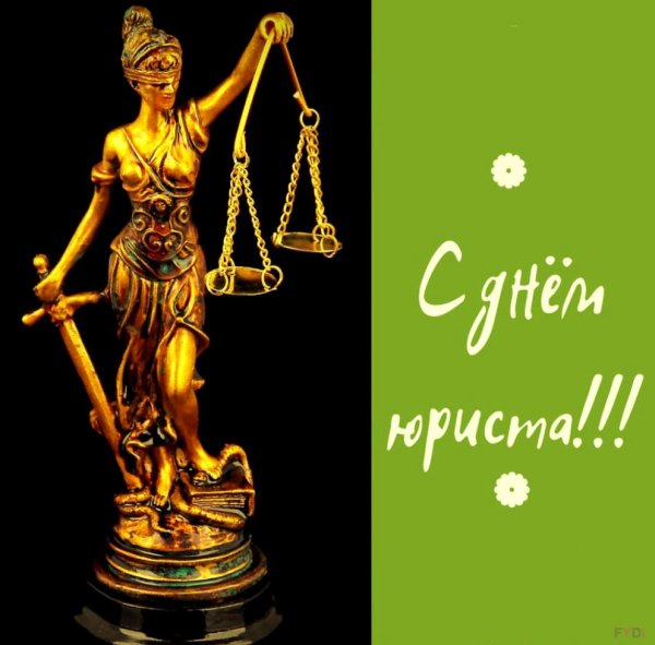 Студент юрист приколы