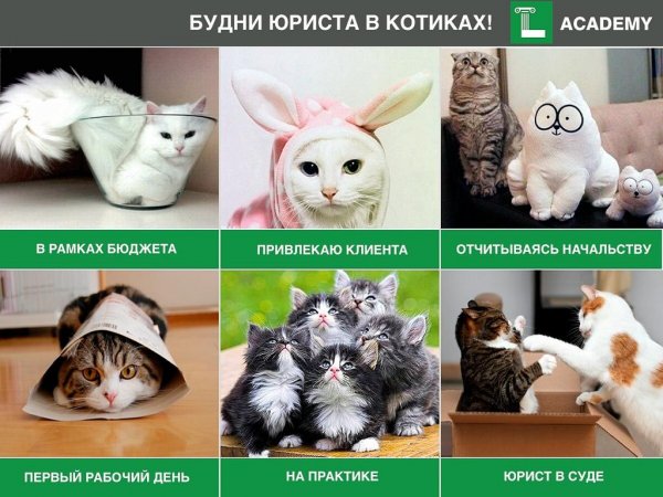 Цитаты про маски