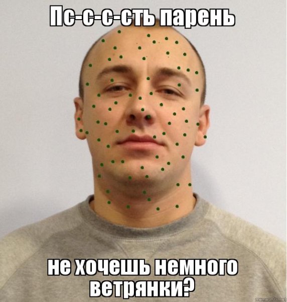 Ветряная Астра рисунок