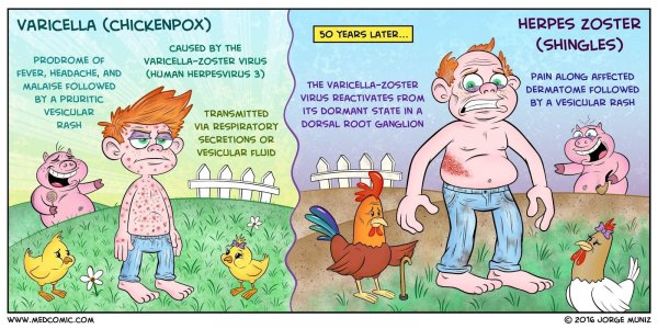 Ветрянка смешные рисунки