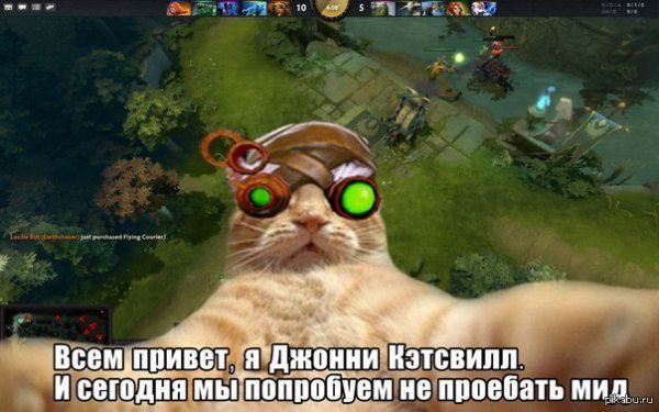 Анекдоты про доту