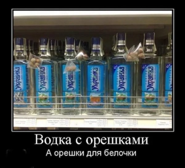Демотиваторы про водку