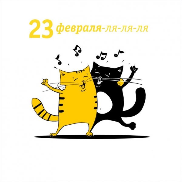 Котик Билайн