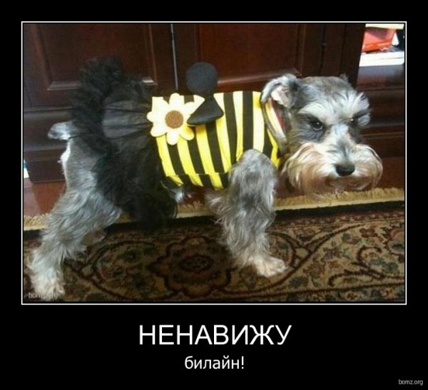 Ненавижу Билайн