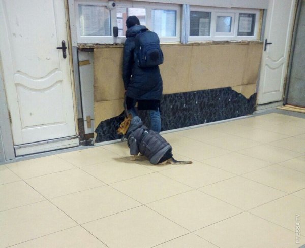 Похолодало смешно