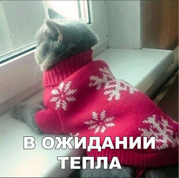 Открытки одевайся теплее