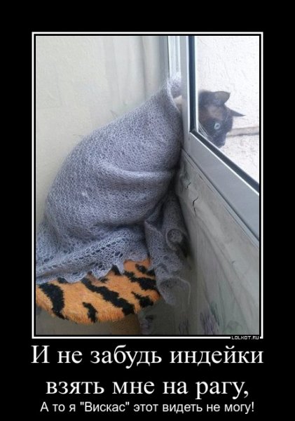 Похолодало приколы
