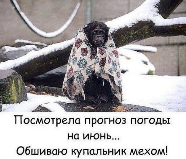 Приколы про холод на улице