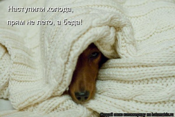 А У нас похолодало