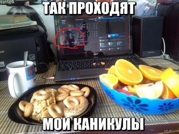 Ура каникулы демотиватор