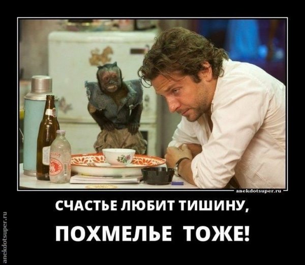 Похмелье демотиваторы